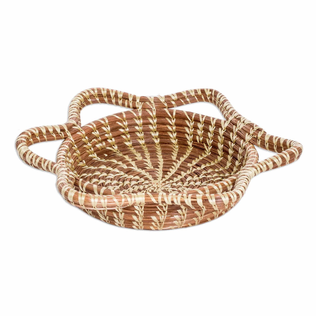 Handcrafted Brown Natural Fiber Basket from Guatemala - Stellar