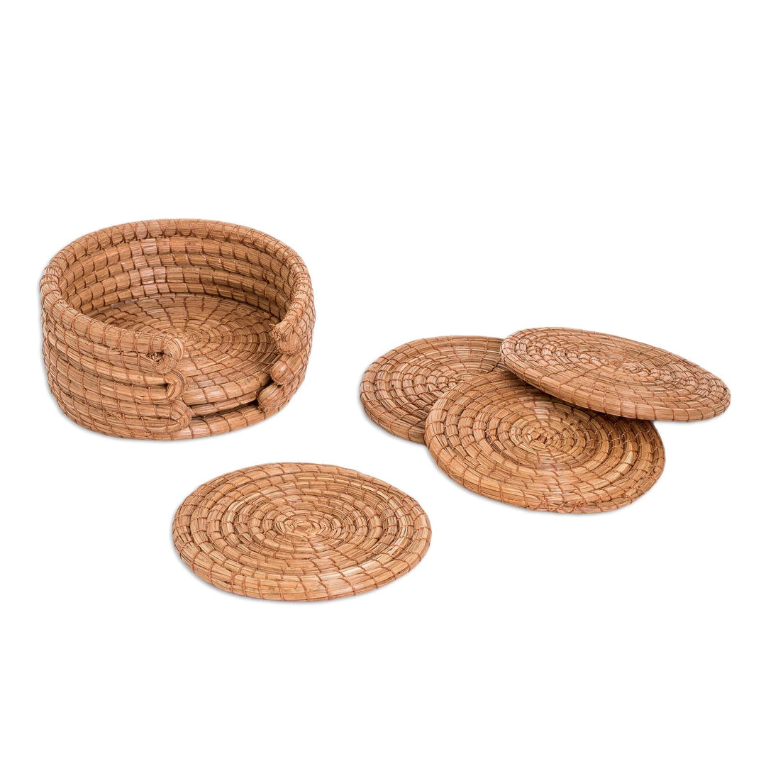 Set of 6 Handcrafted Natural Fiber Coasters from Guatemala - Refreshing Pine