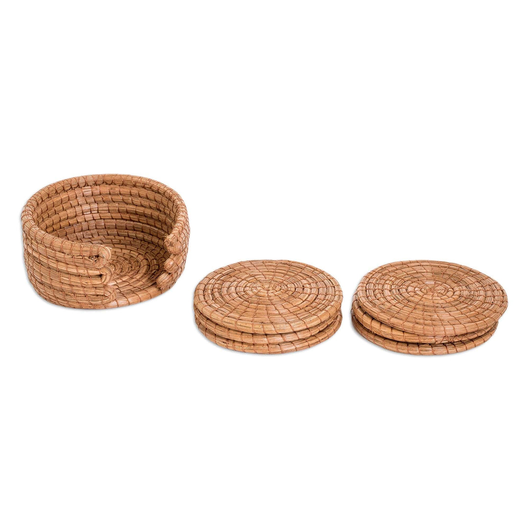 Set of 6 Handcrafted Natural Fiber Coasters from Guatemala - Refreshing Pine