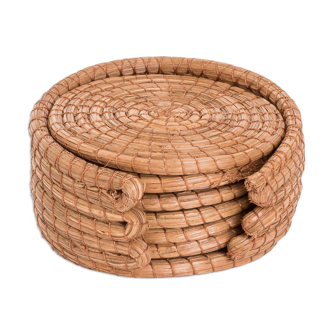 Set of 6 Handcrafted Natural Fiber Coasters from Guatemala - Refreshing Pine