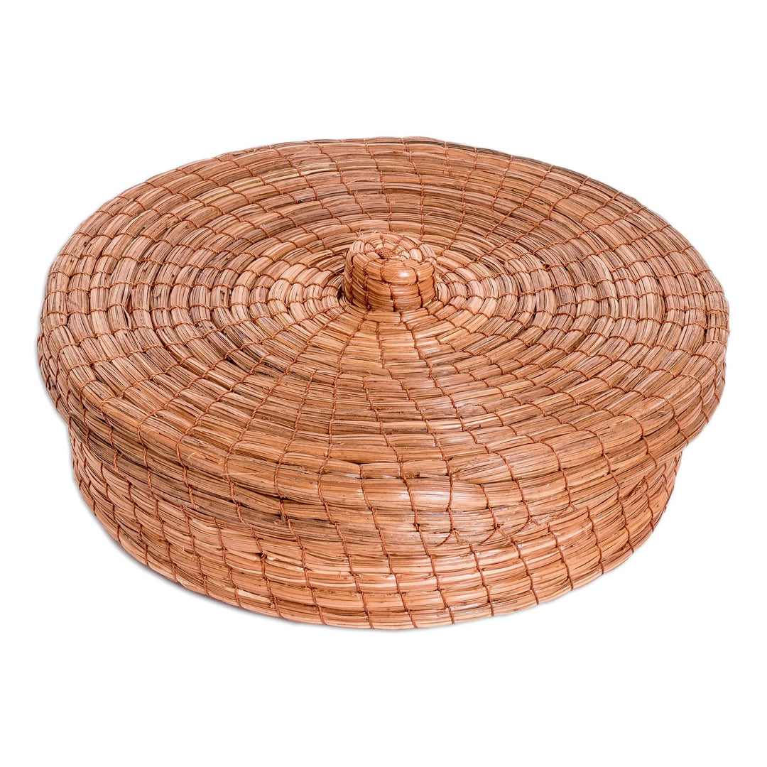 Handcrafted Natural Fiber Basket in a Natural Brown Hue - Forest Auras