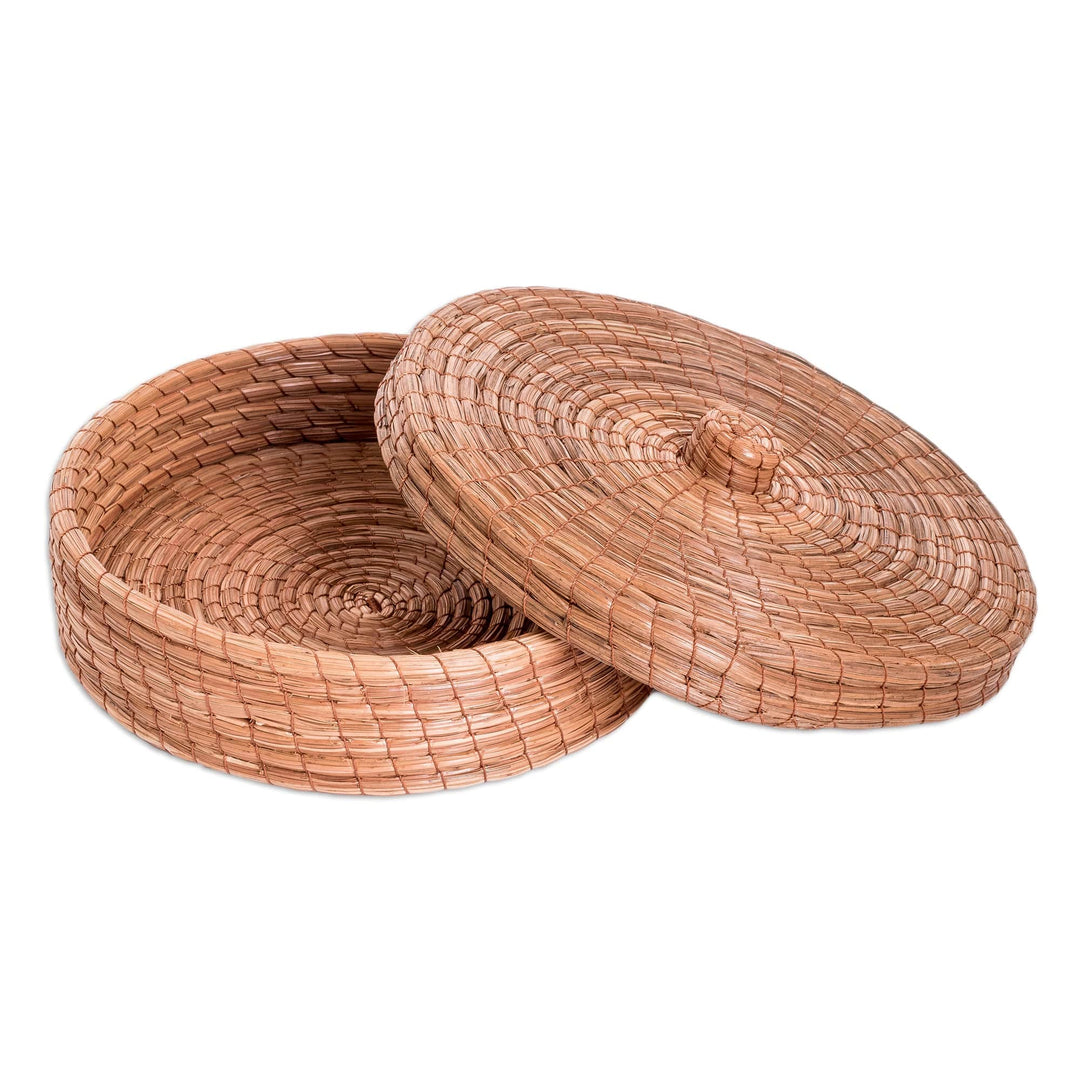 Handcrafted Natural Fiber Basket in a Natural Brown Hue - Forest Auras