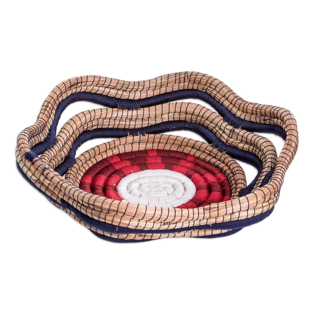 Handcrafted Natural Fiber Basket with Colorful Accents - Night Flora