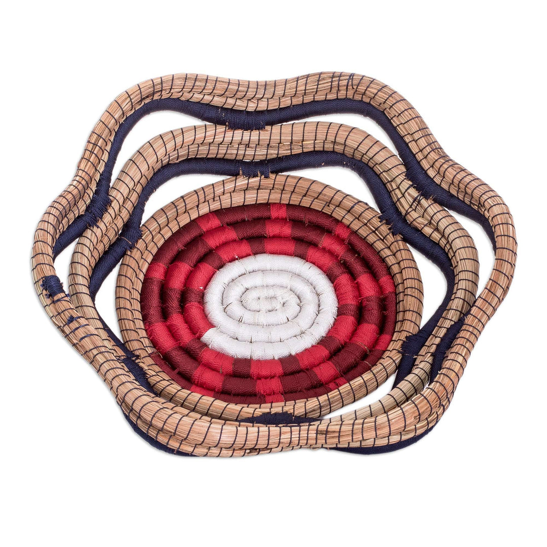 Handcrafted Natural Fiber Basket with Colorful Accents - Night Flora