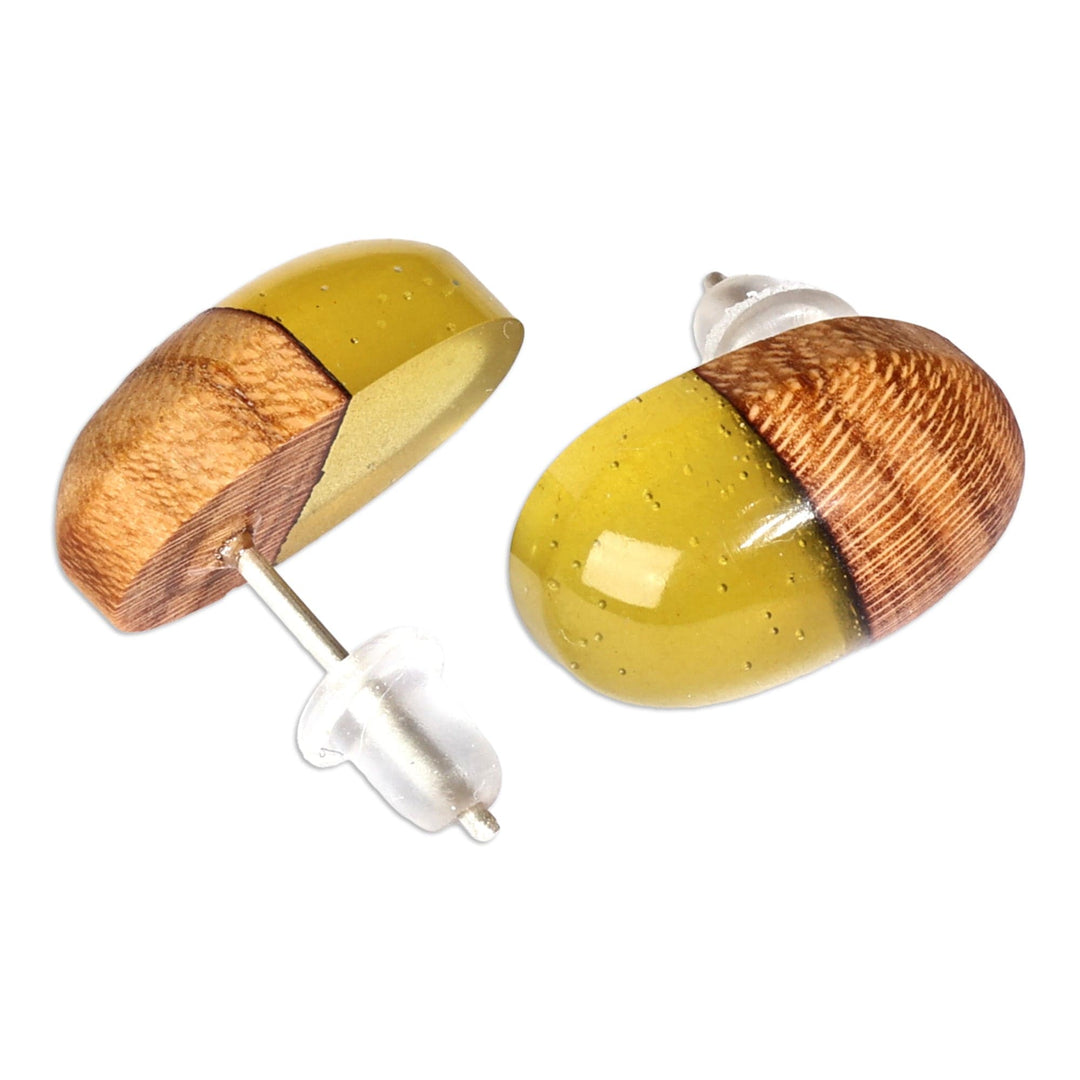 Apricot Wood and Yellow Resin Oval Button Earrings - Golden Woods
