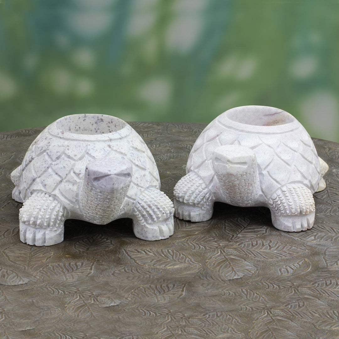 Turtle Twins