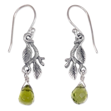 Women's Sterling Silver Dangle Earrings - Rainforest