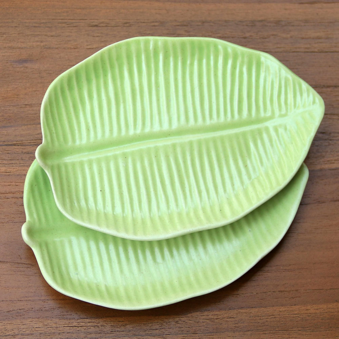 Jungle Banana Leaf