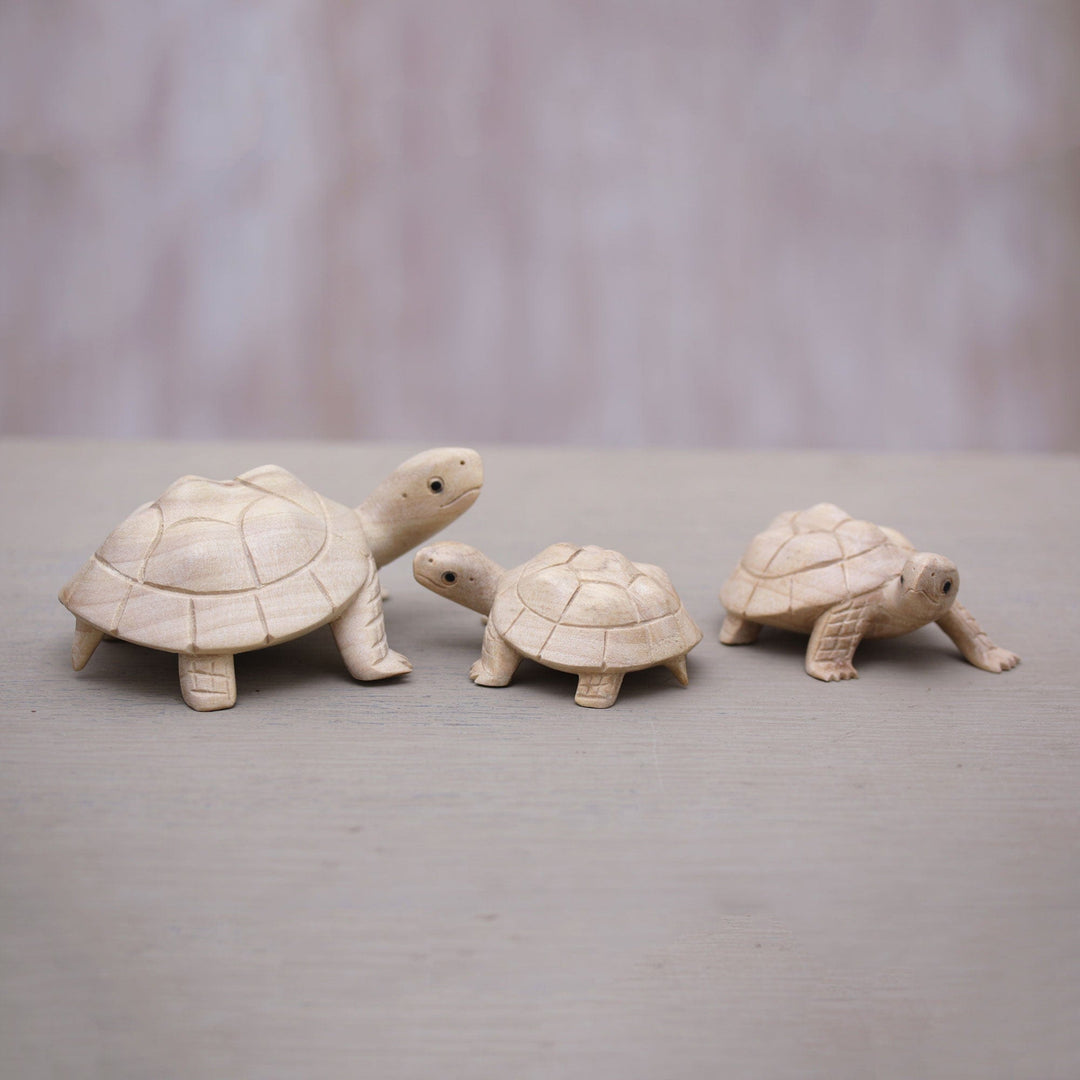 Terrapin Trio
