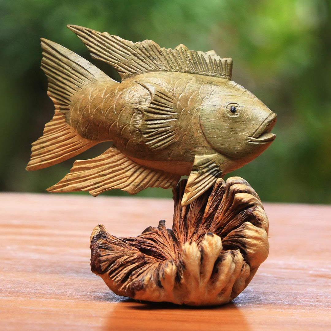 Gourami Fish