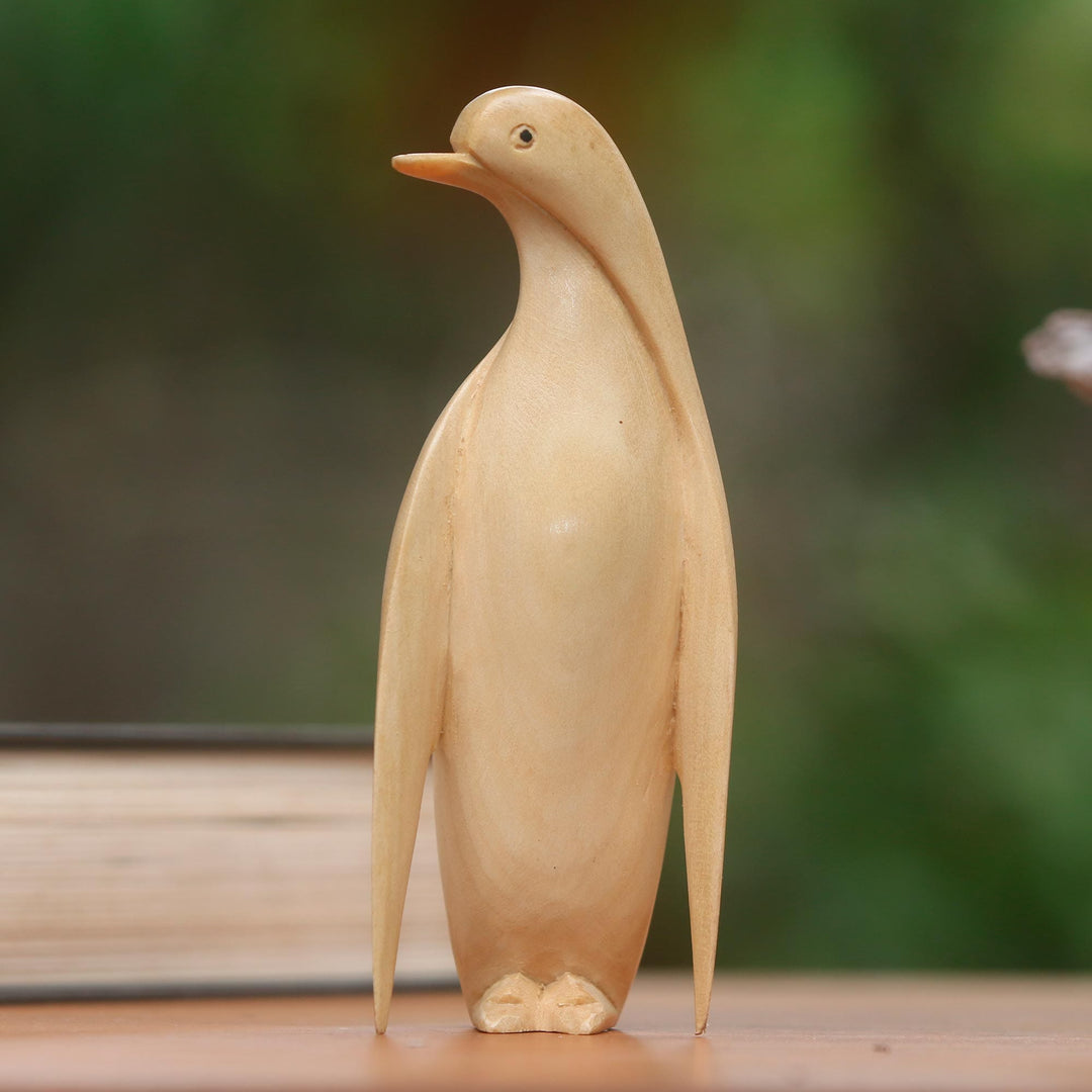 Wary Penguin