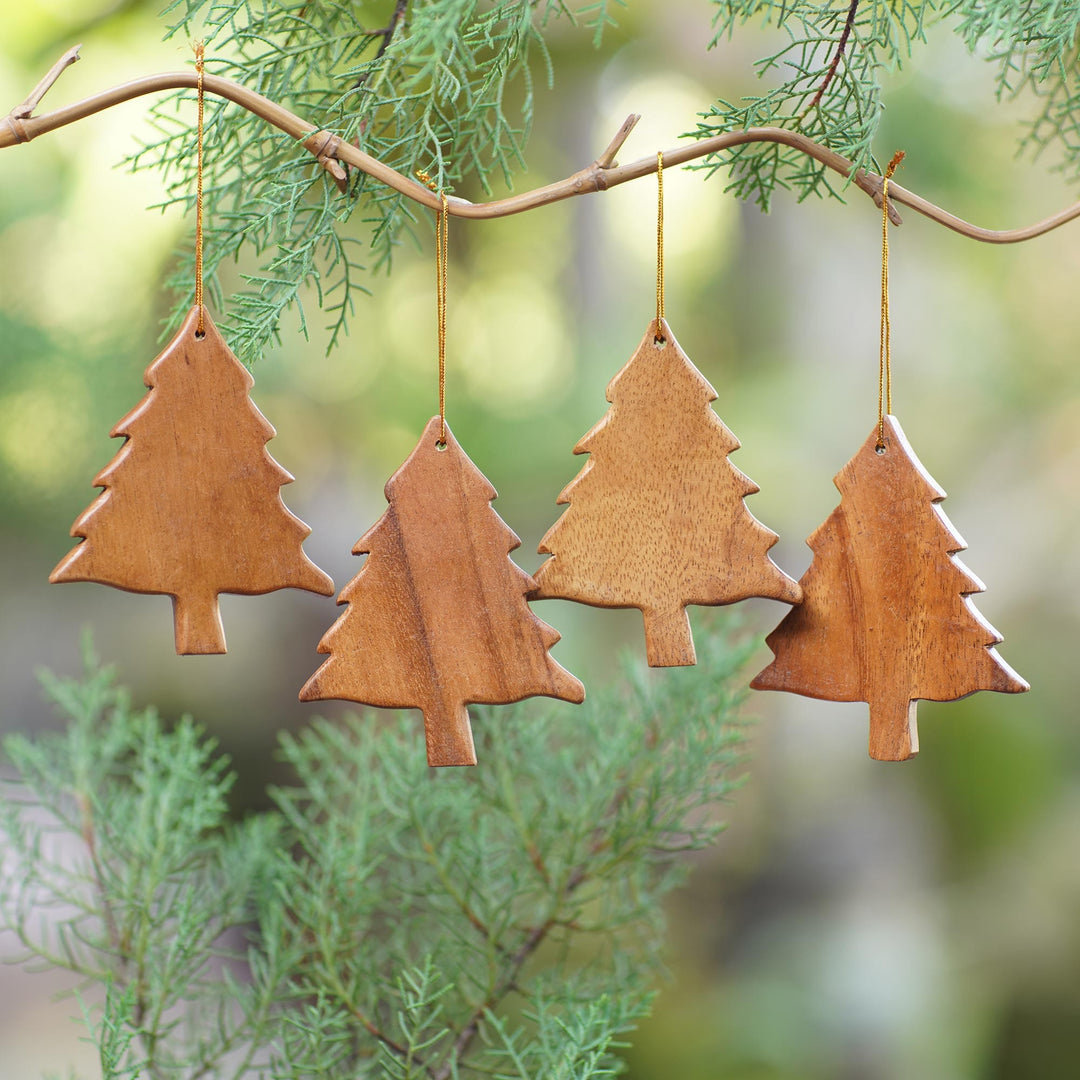 Simple Evergreens