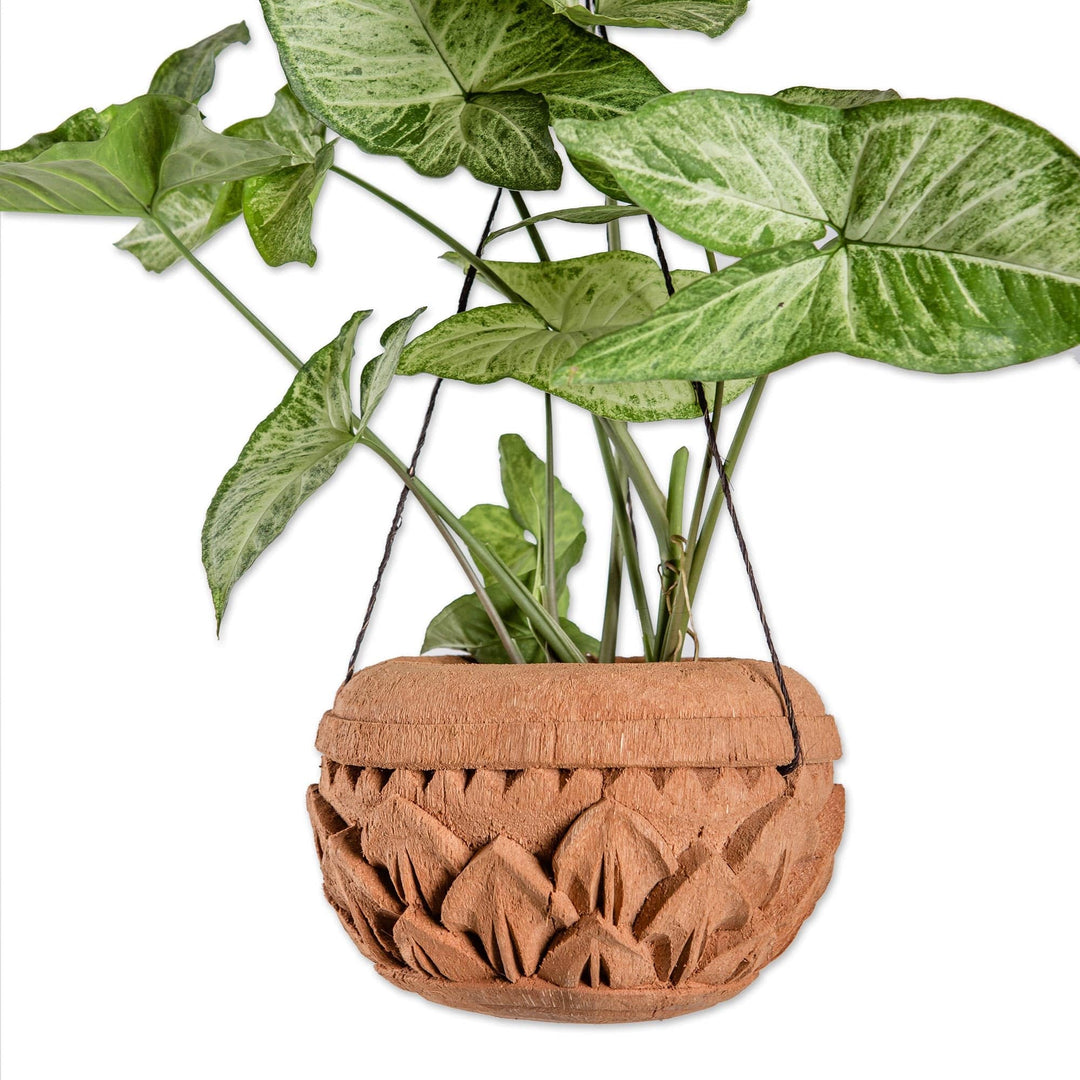 Coconut Shell Planter with Floral Motif - Hanging Lotus
