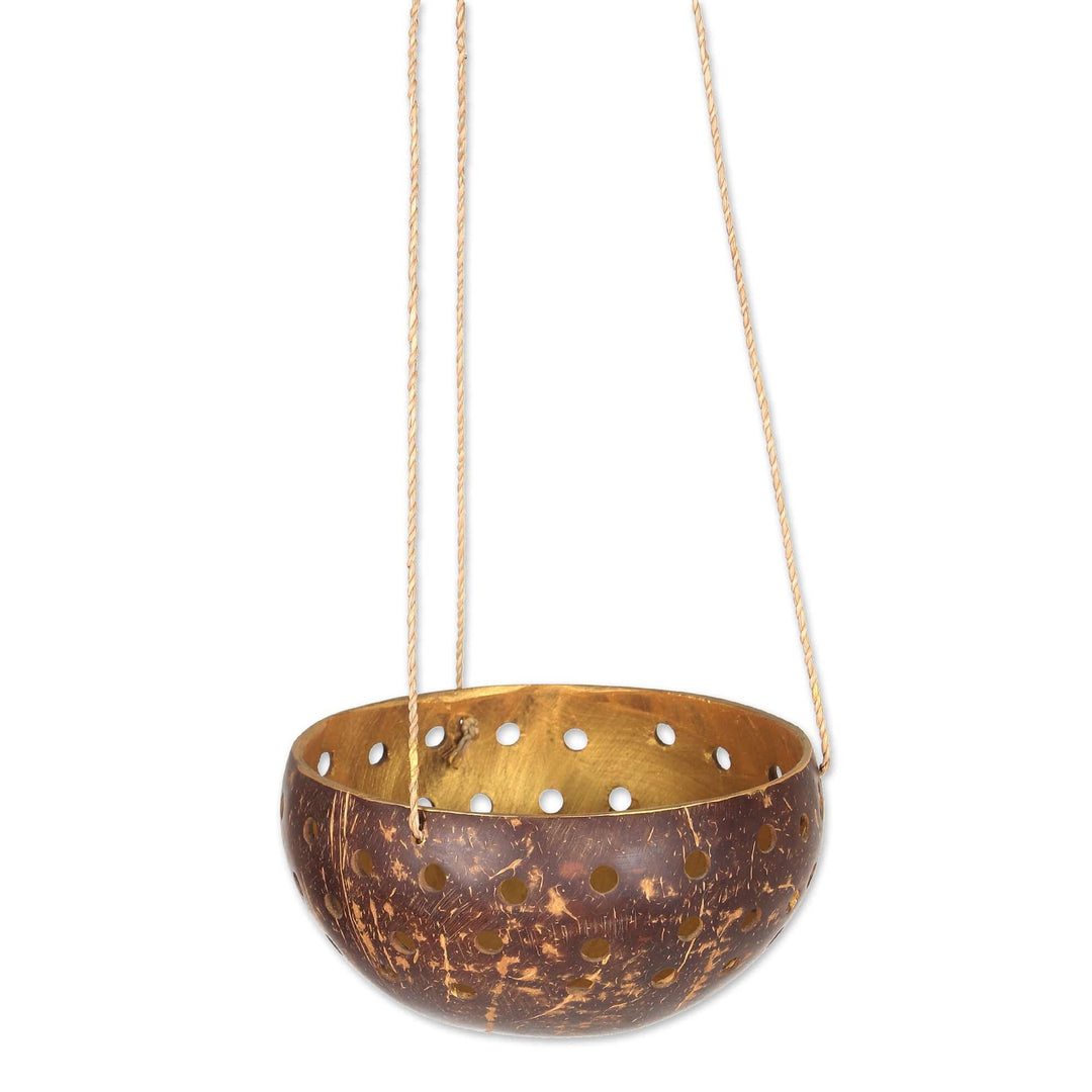 Coconut Shell Hanging Planter - Well Drained