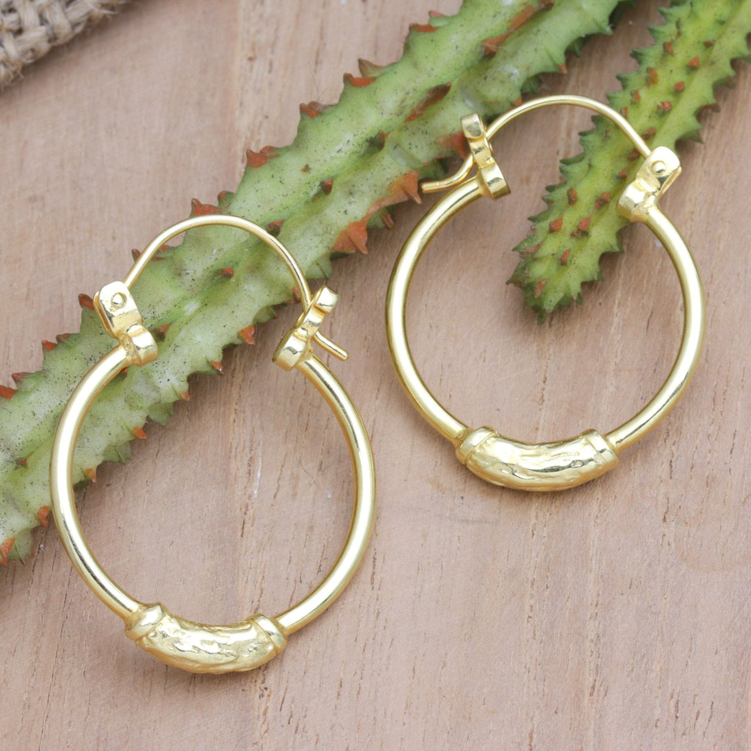 18k Gold-Plated Hoop Earrings - Humble Desire