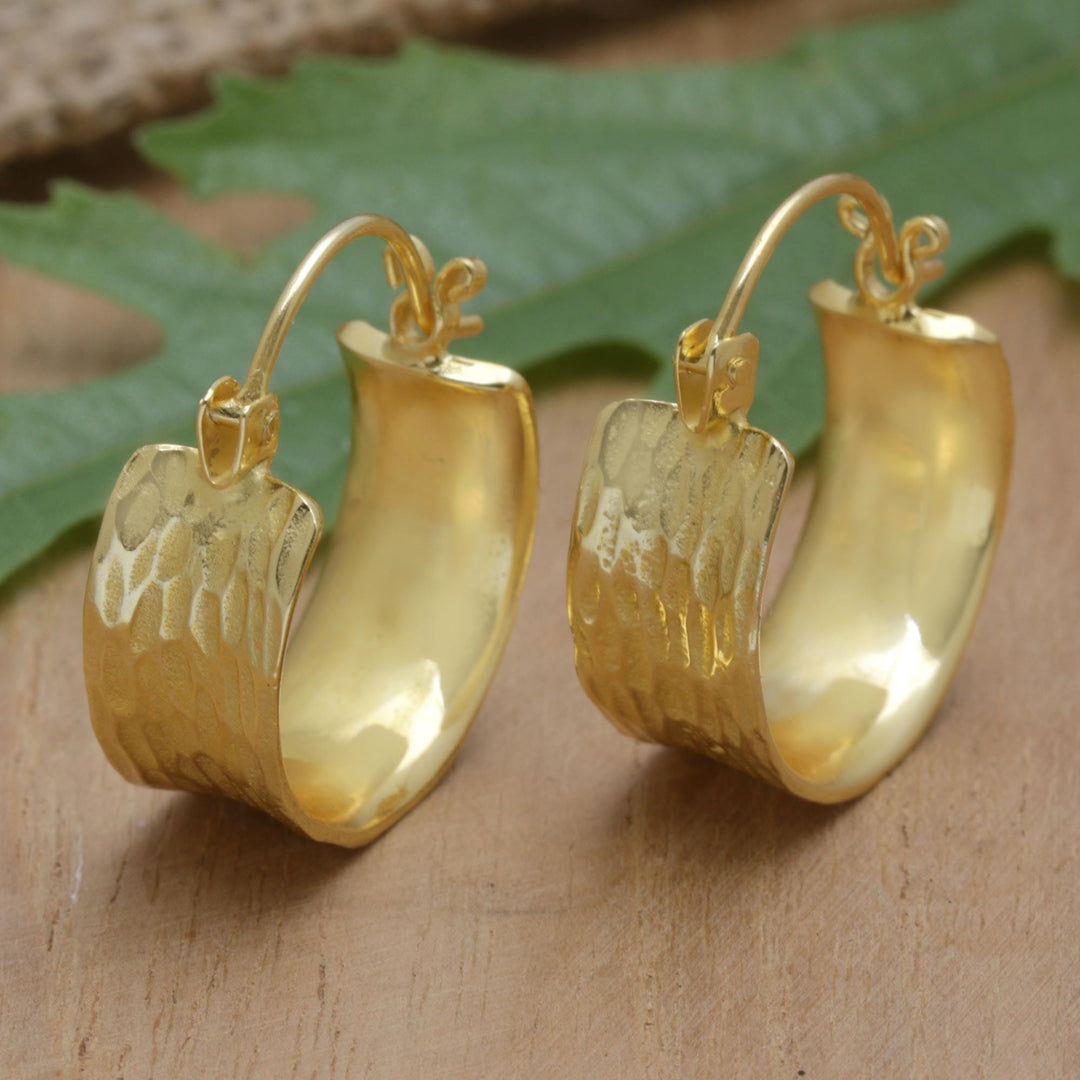 18k Gold-Plated Modern Hoop Earrings - Jump Through The Ring