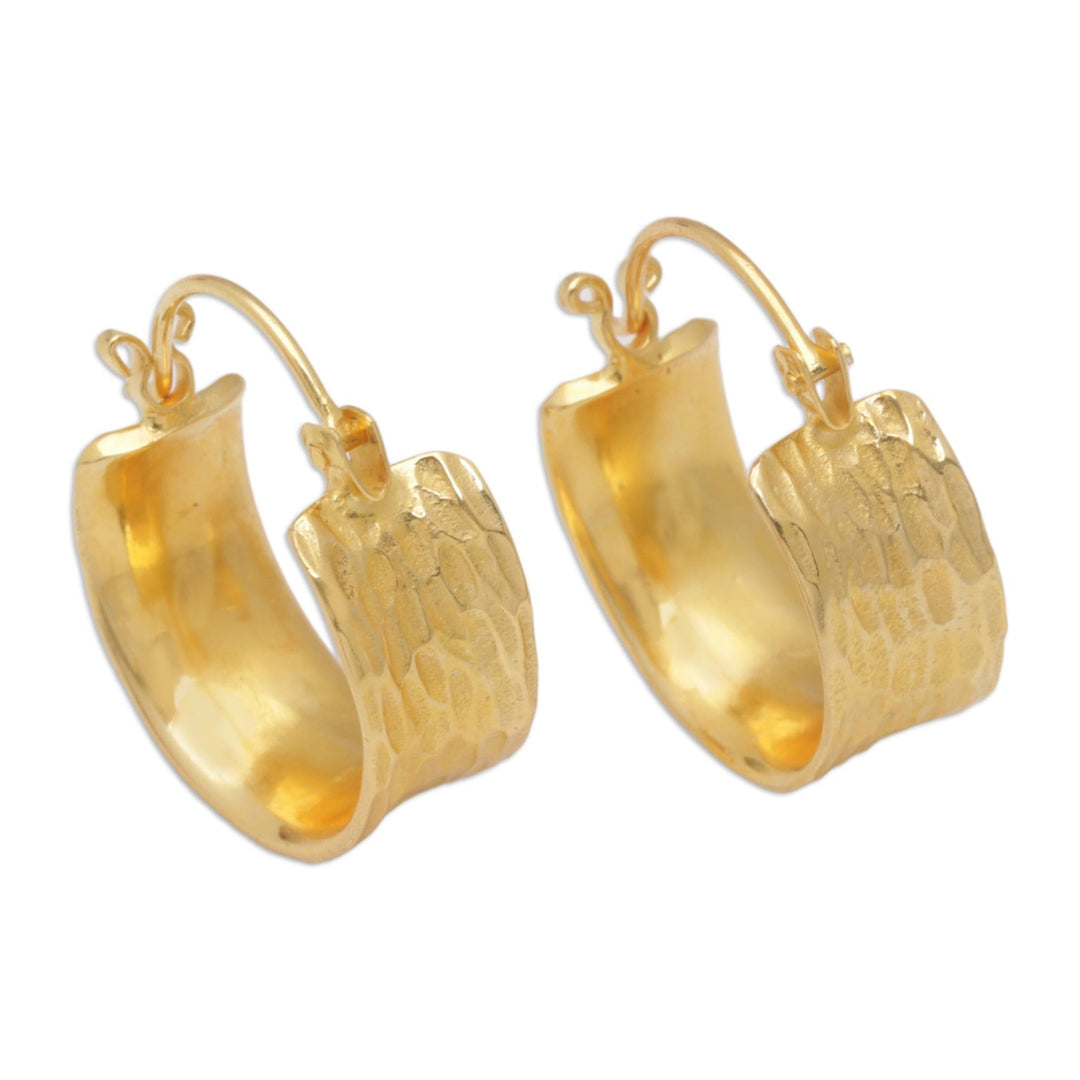 18k Gold-Plated Modern Hoop Earrings - Jump Through The Ring