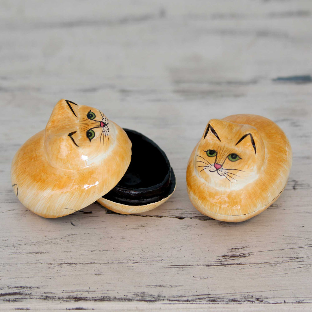 Decorative Papier Mache Boxes - Charismatic Cats