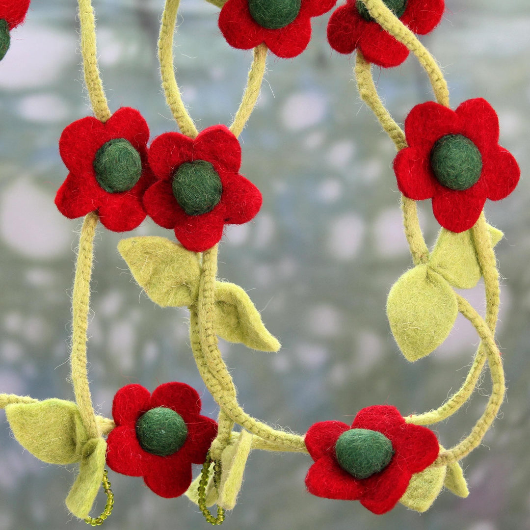 Holiday Begonias