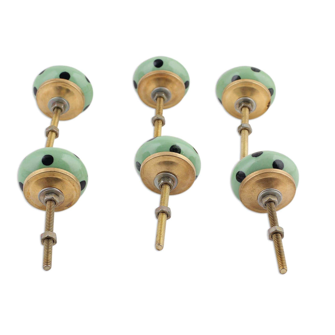 Six Hand Painted Ceramic Knobs in Green and Black from India - Polka Dot Green
