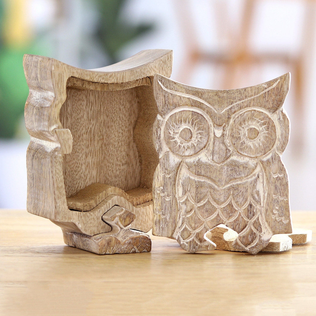 Handmade Owl-Themed Wood Puzzle Box from India - 'Perched at Midnight'