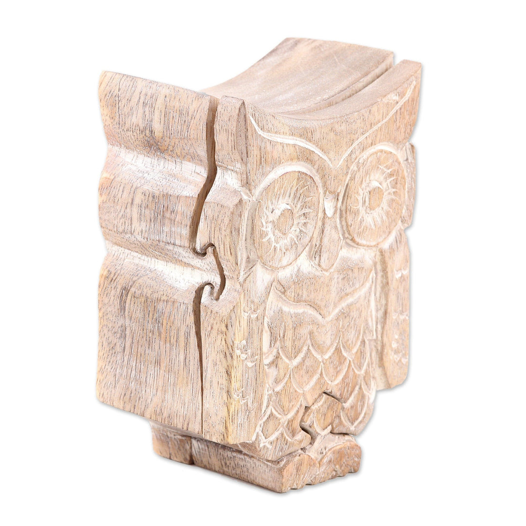 Handmade Owl-Themed Wood Puzzle Box from India - 'Perched at Midnight'