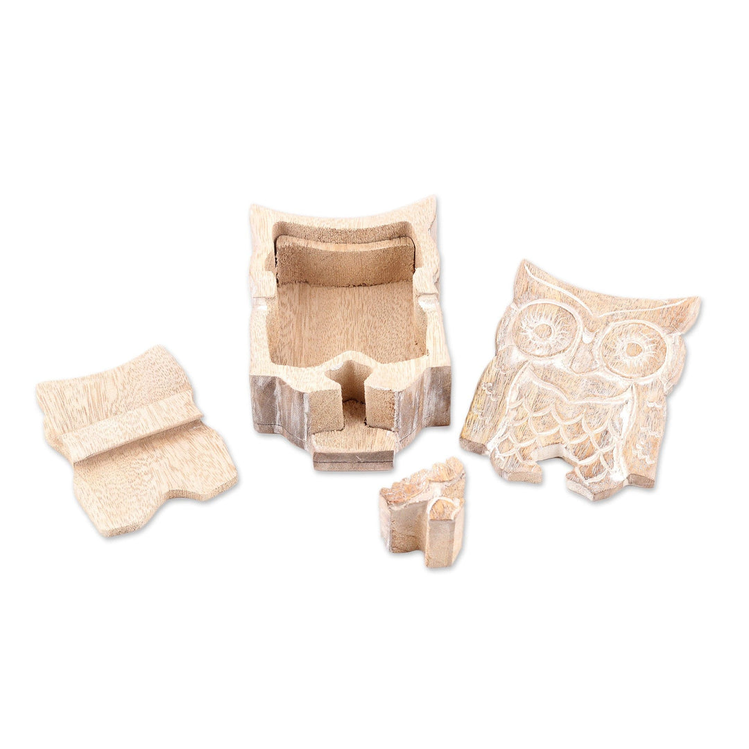 Handmade Owl-Themed Wood Puzzle Box from India - 'Perched at Midnight'