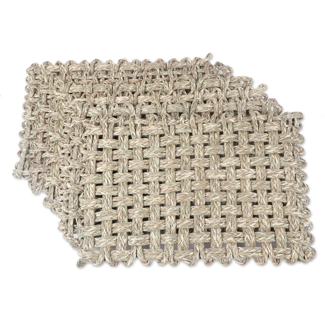 Handcrafted Natural Fiber Placemats from India (Set of 6) - Classic