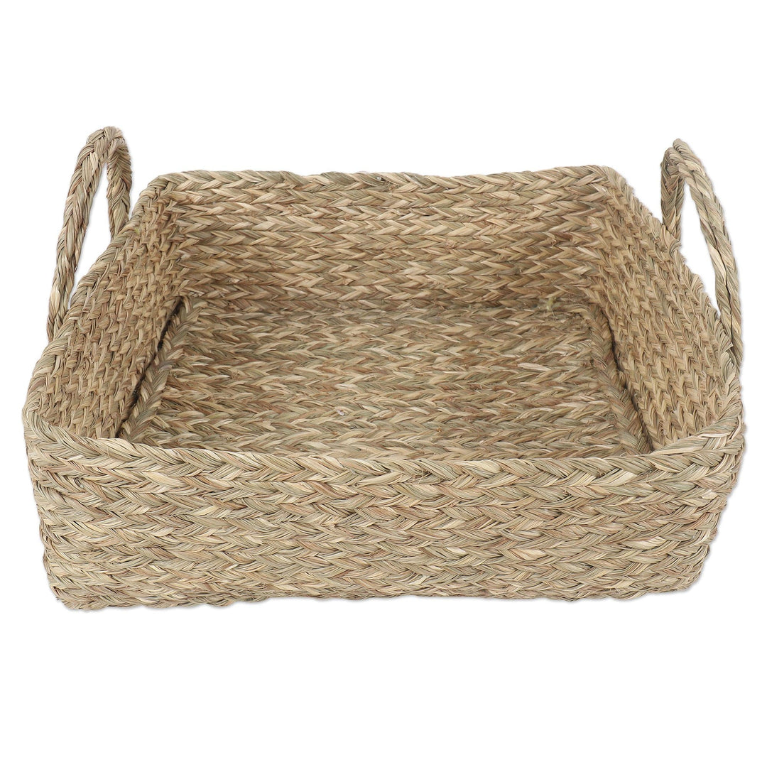 Natural Fiber Basket in Natural Tone Handcrafted in India - Essentials of Nature