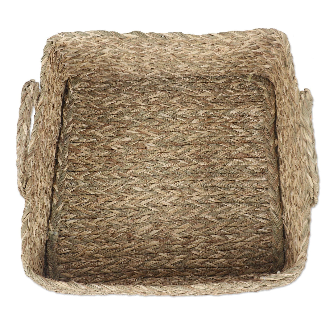 Natural Fiber Basket in Natural Tone Handcrafted in India - Essentials of Nature