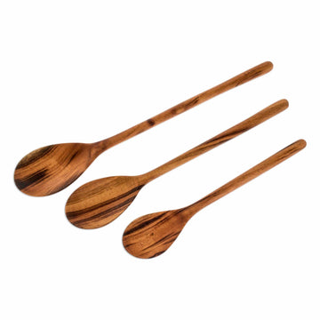 Set of 3 Unique Wood Serving Spoons - Peten Trio