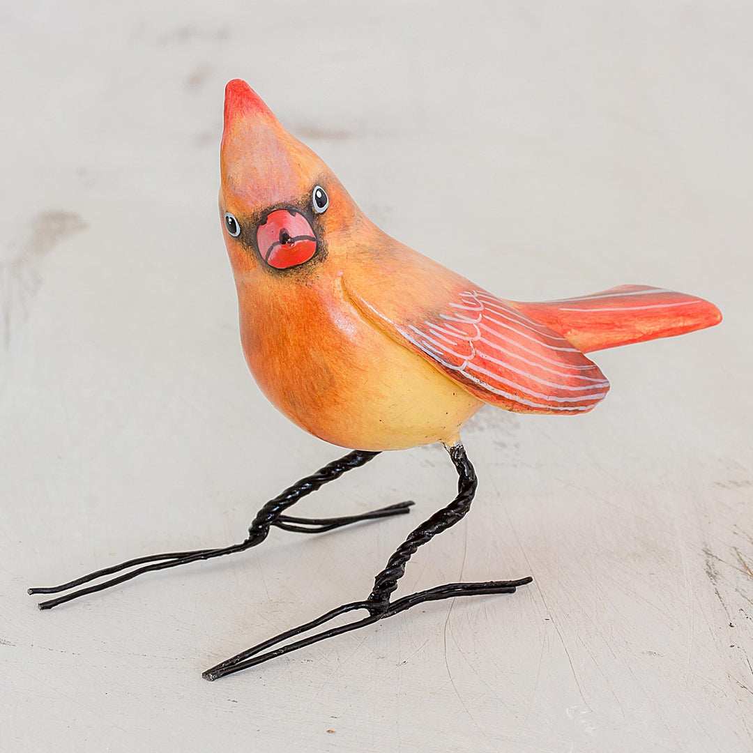 Cardinal Beauty