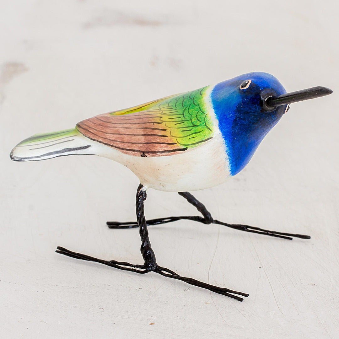Jacobin Hummingbird