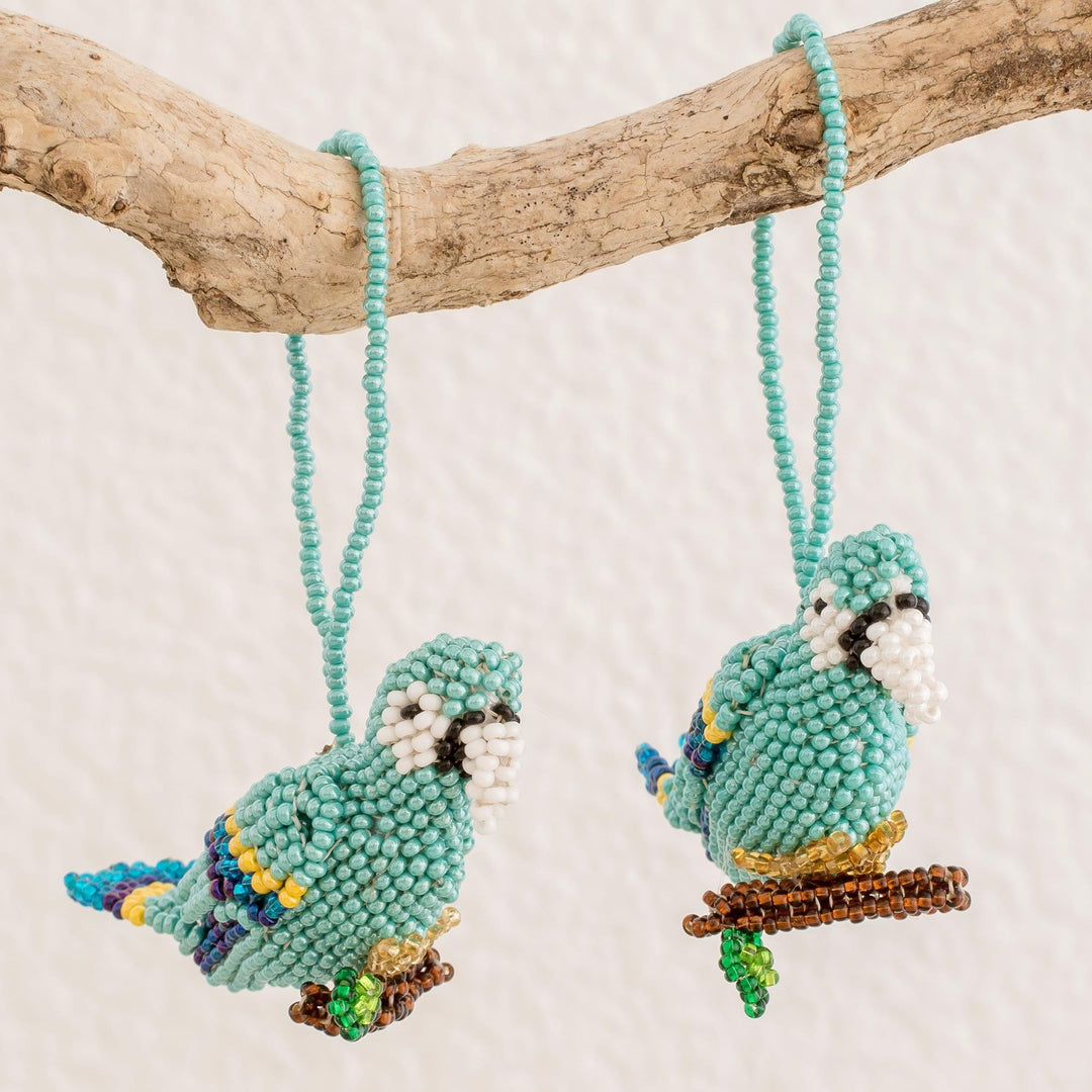 Blue Macaws