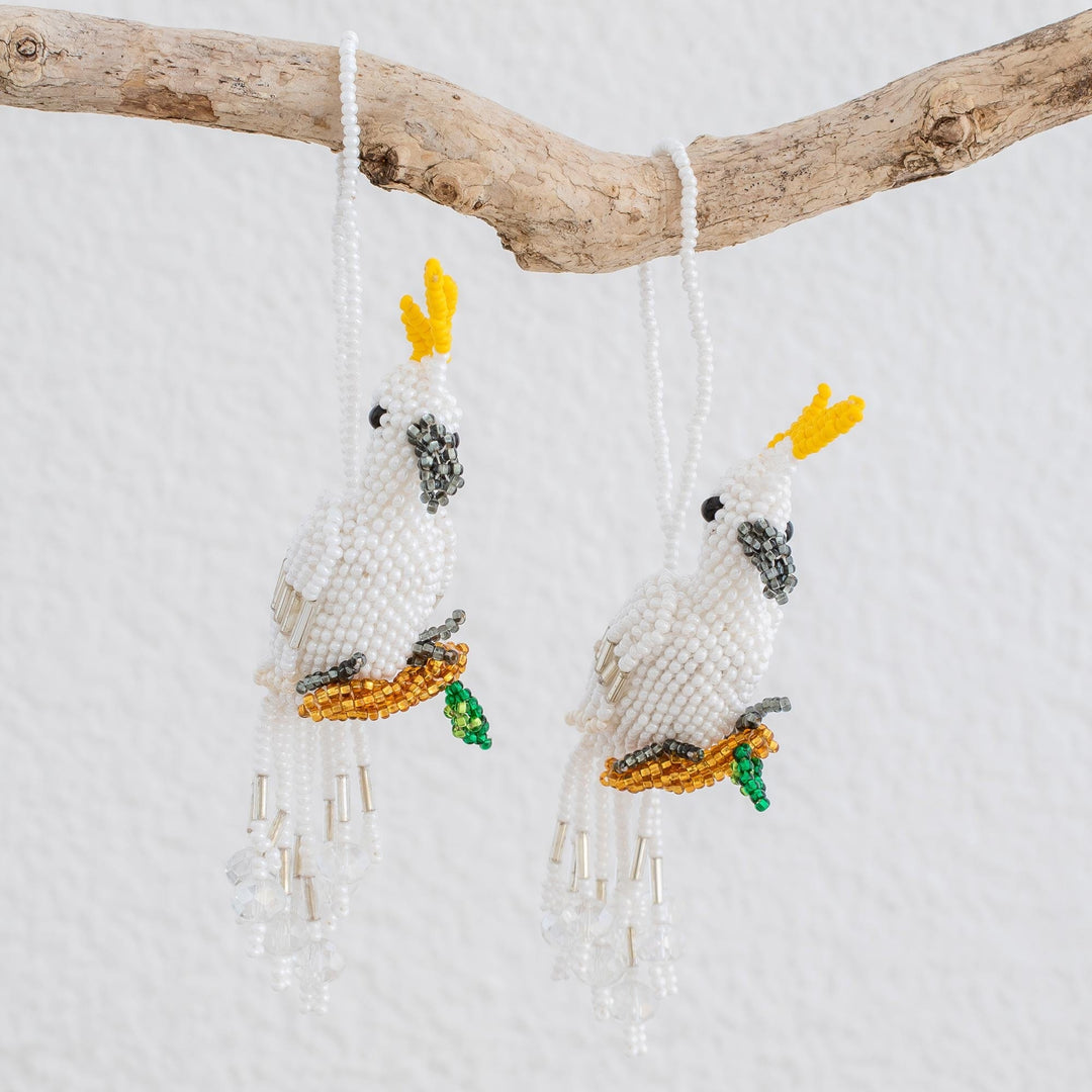 White Cockatoos