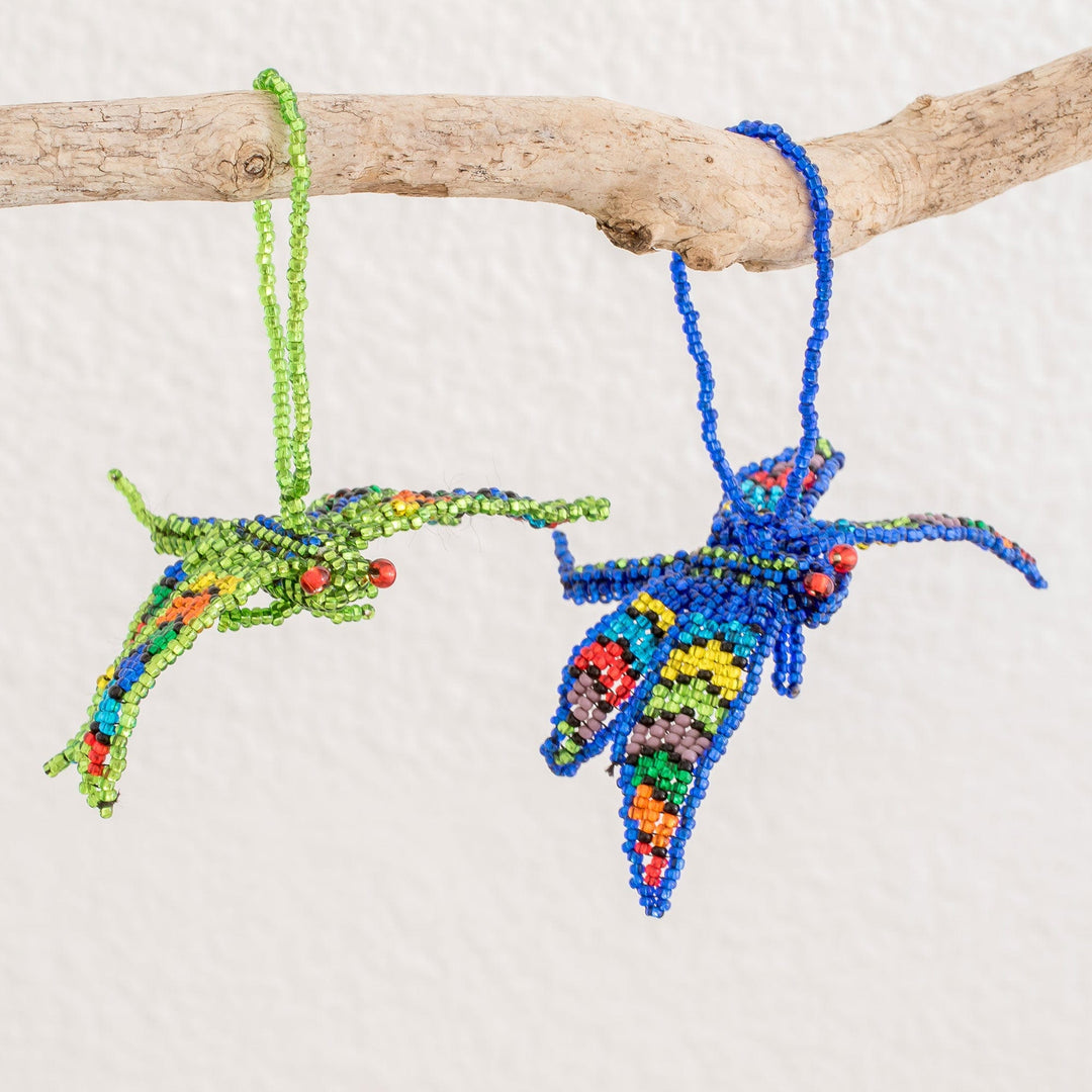 Free Flight