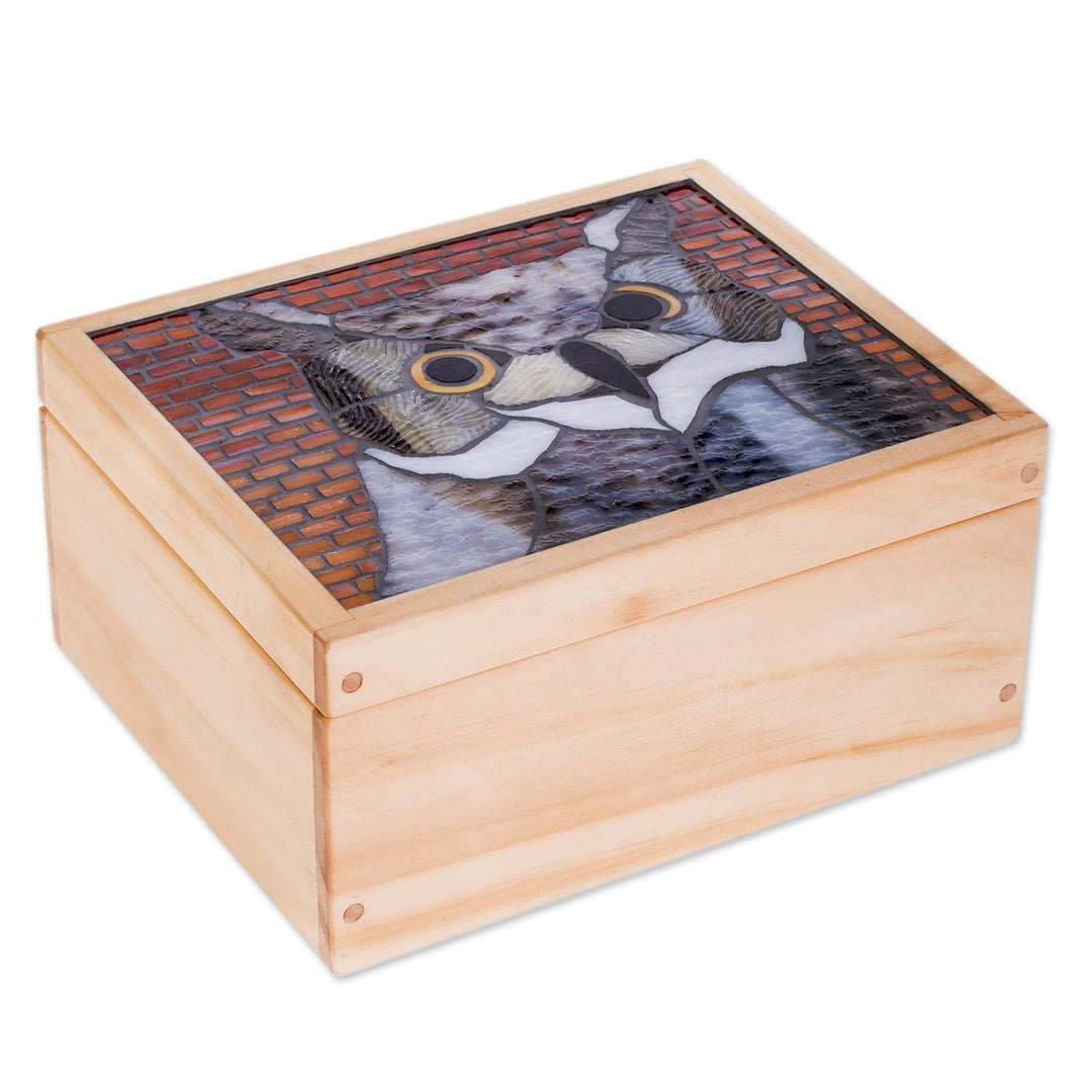 Owl-Themed Glass Mosaic Tea Box from Costa Rica - Charming Owl