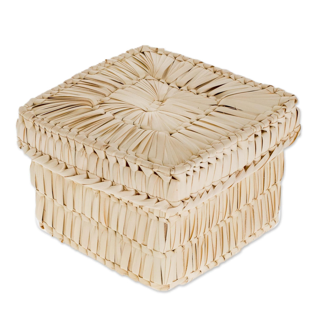Handcrafted Square Palm Leaf Basket from Guatemala - Palm Textures