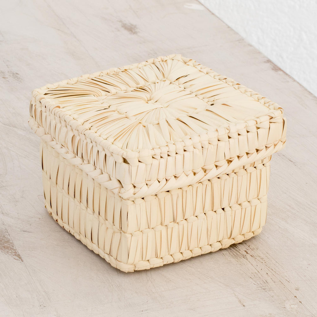 Handcrafted Square Palm Leaf Basket from Guatemala - Palm Textures