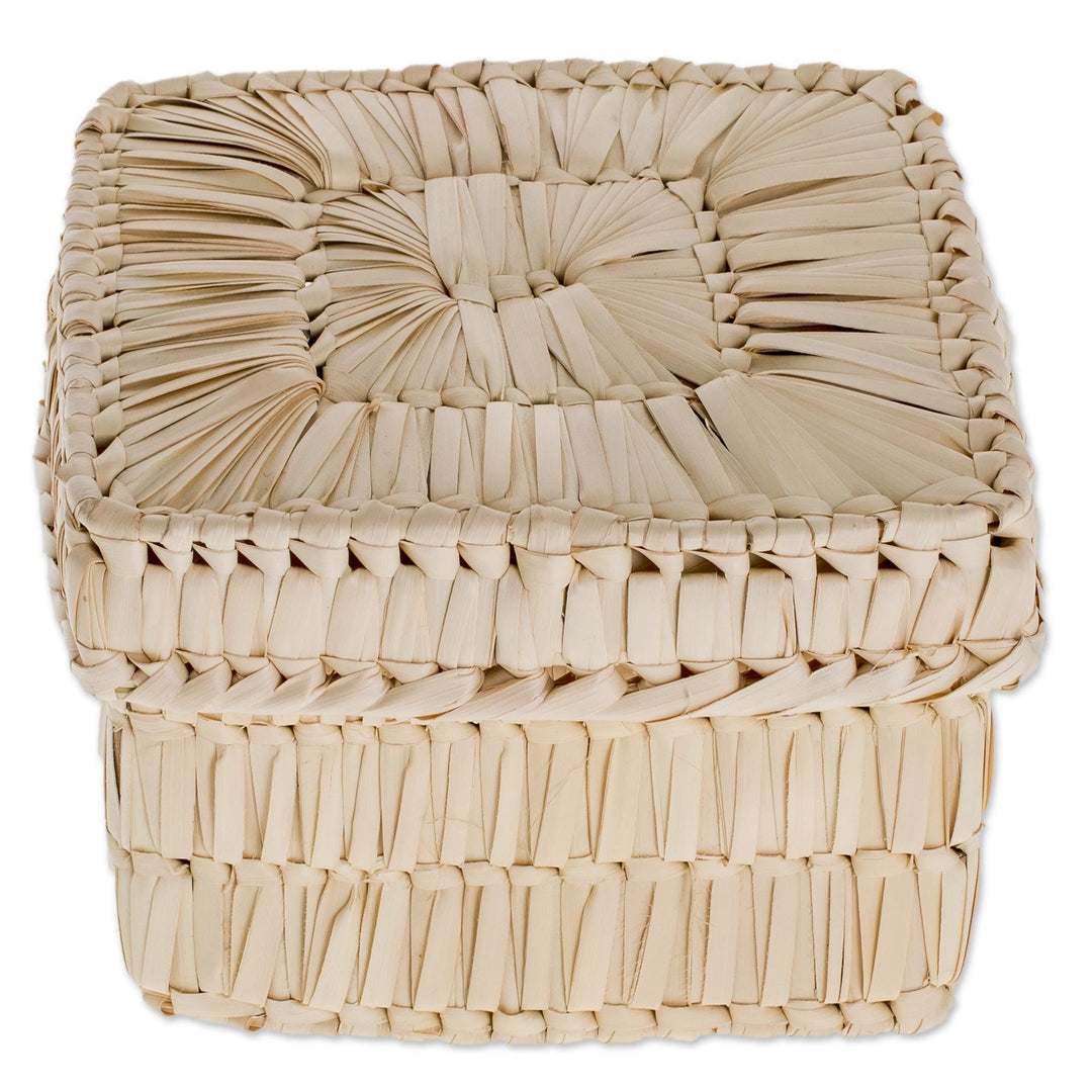 Handcrafted Square Palm Leaf Basket from Guatemala - Palm Textures