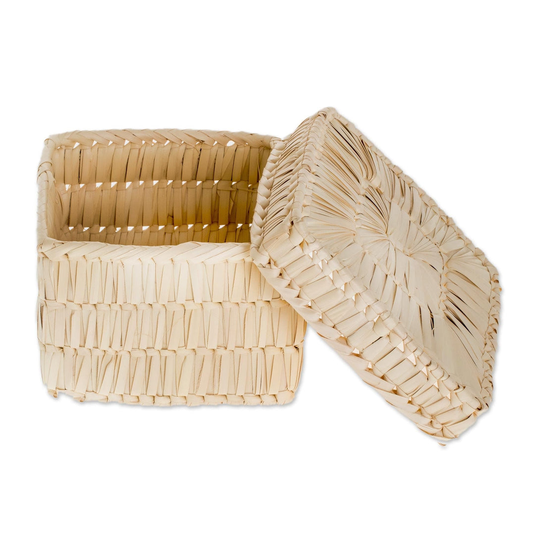 Handcrafted Square Palm Leaf Basket from Guatemala - Palm Textures