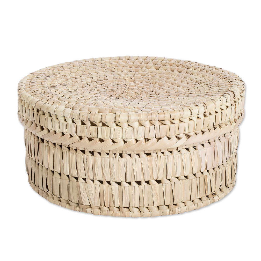 Handcrafted Natural Palm Leaf Basket from Guatemala - Palm Splendor