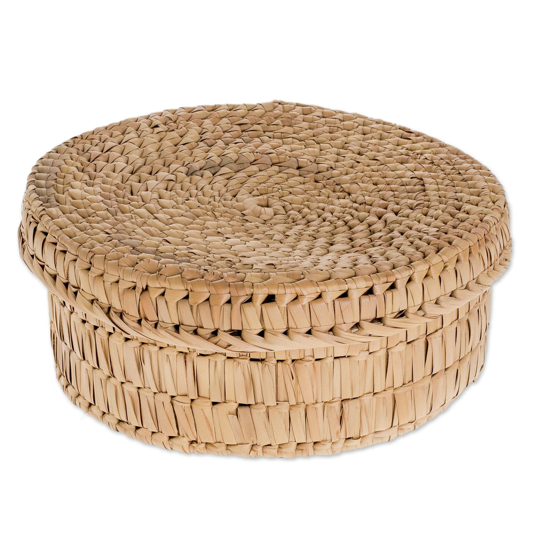Handcrafted Natural Palm Leaf Basket from Guatemala - Palm Splendor