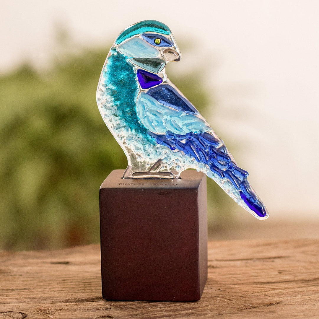 BlueGrey Tanager