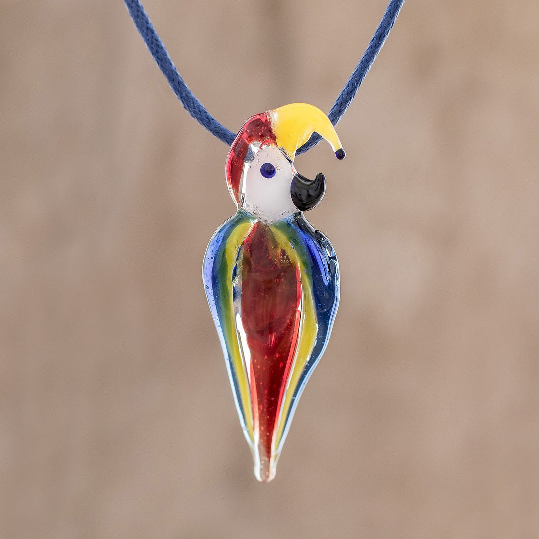 Beautiful Macaw