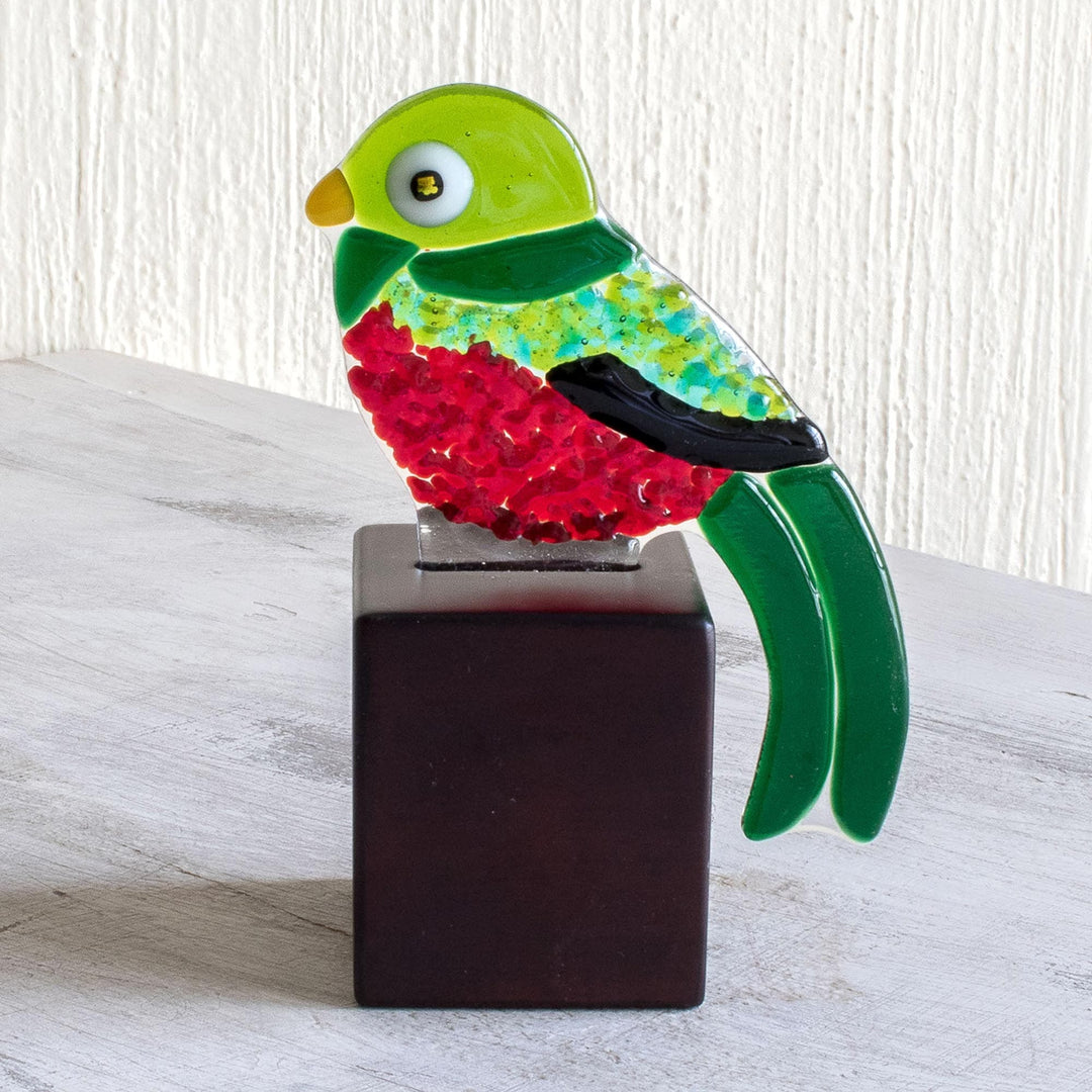 Guatemalan Bird