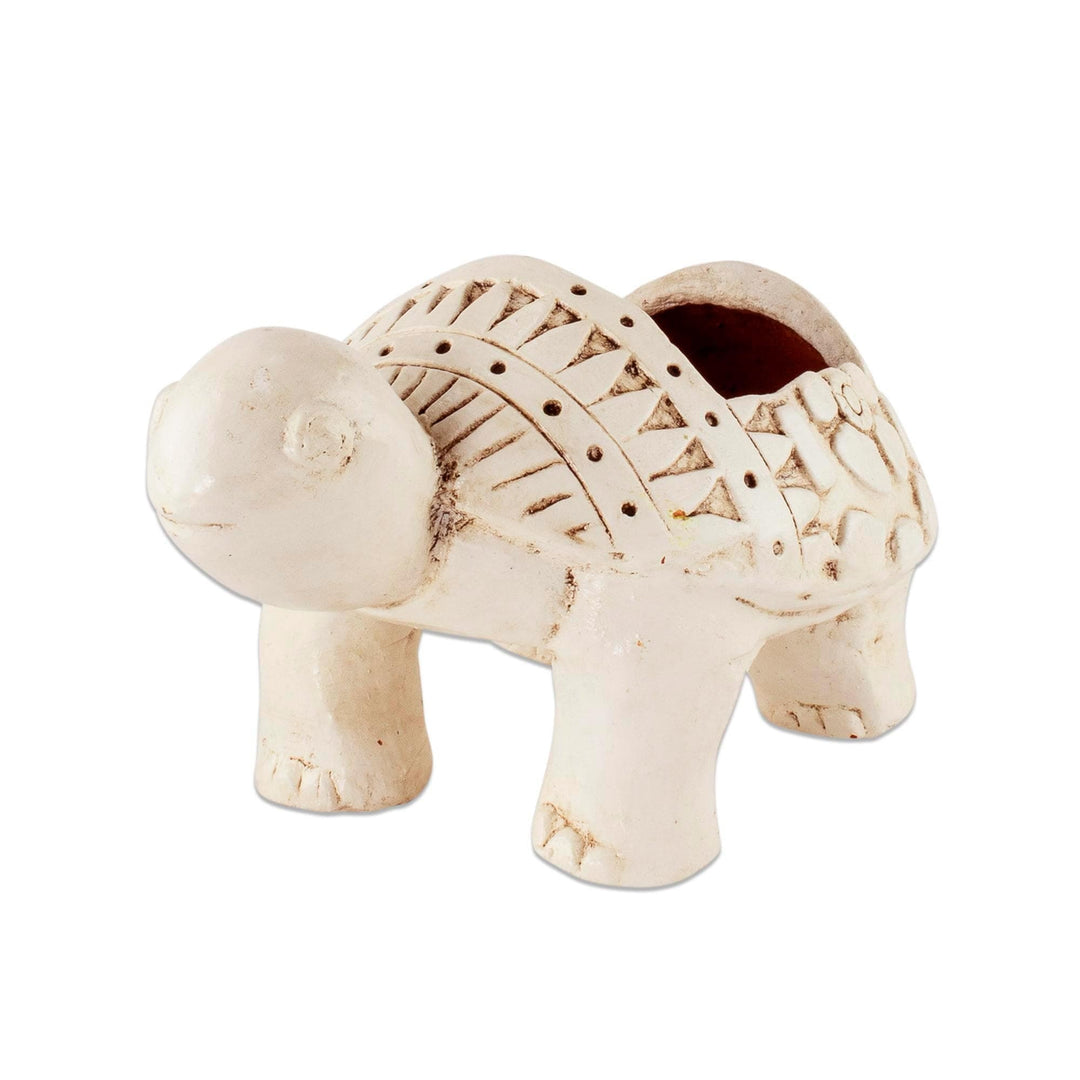 Handcrafted Ceramic Turtle Flower Pot from El Salvador - Cheerful Little Turtle