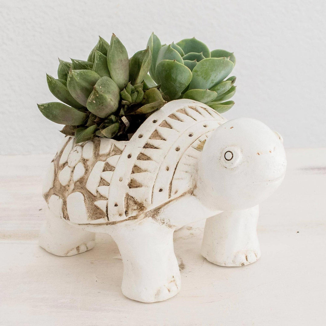 Handcrafted Ceramic Turtle Flower Pot from El Salvador - Cheerful Little Turtle