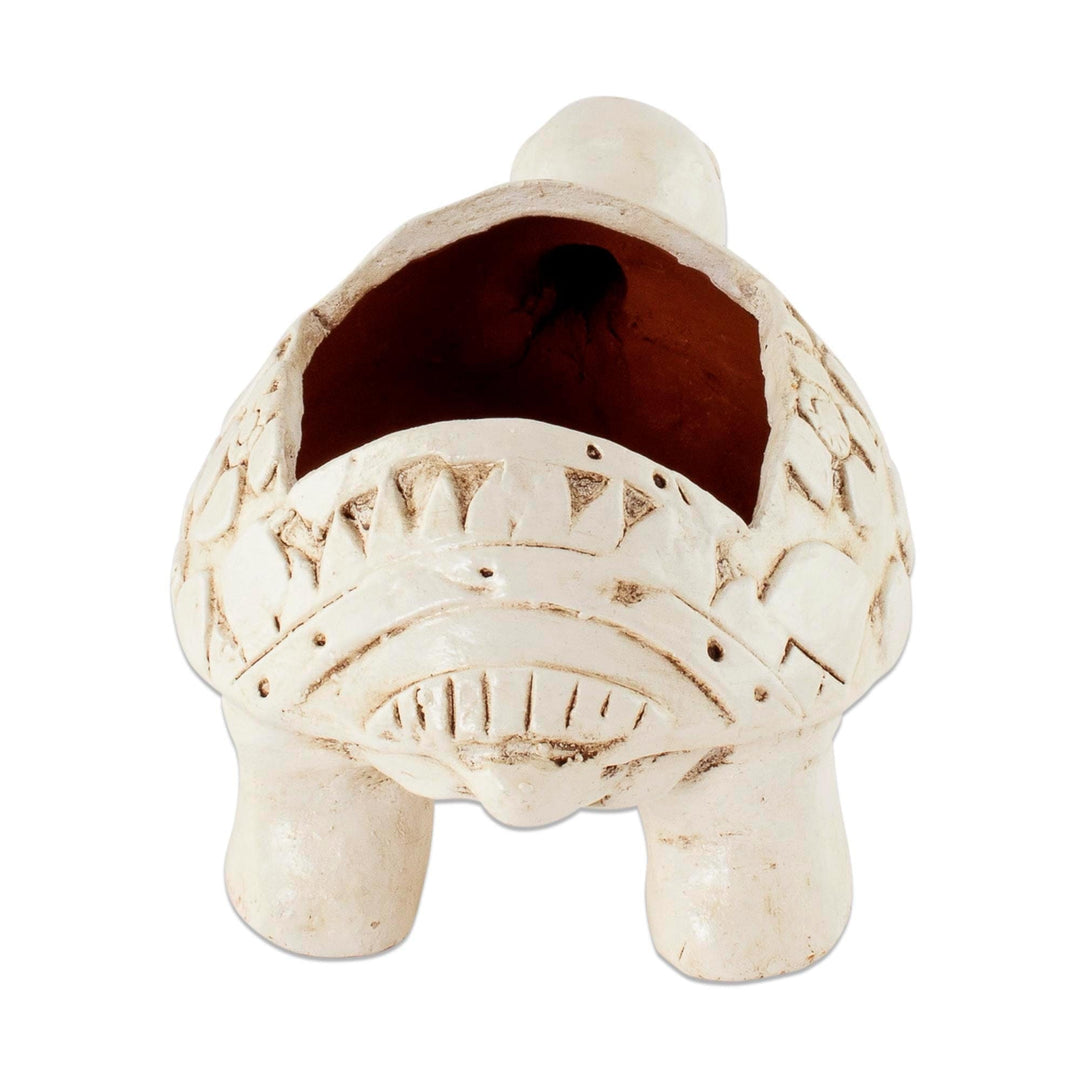 Handcrafted Ceramic Turtle Flower Pot from El Salvador - Cheerful Little Turtle