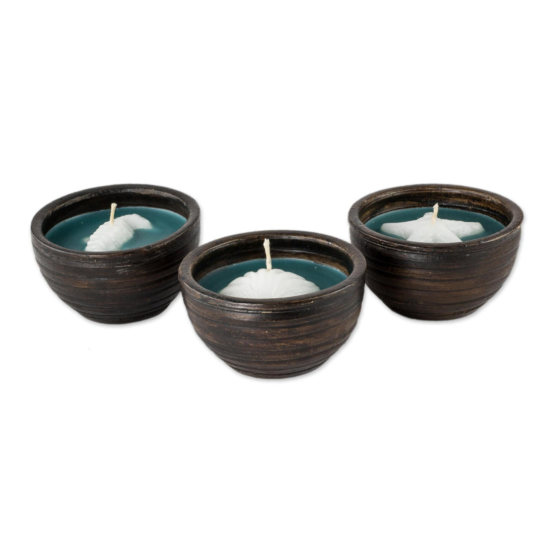 Ceramic Jar Filled Sealife Candle Set (Set of 3) - Sea Breeze